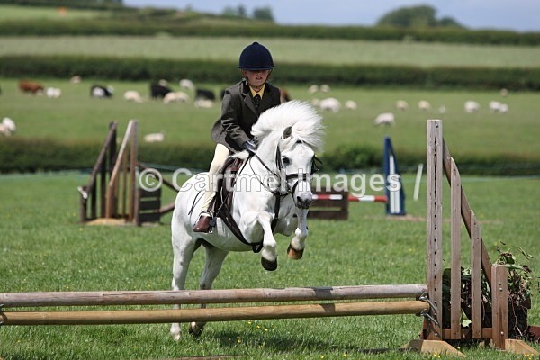 MBJ_1157 - MBRC- June 2012- Jumping/Working Hunter