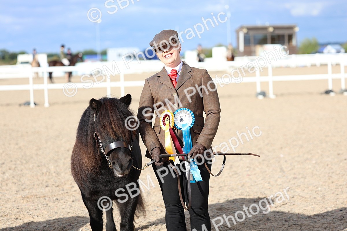 SBM_18790 - Class 317 - IH Pure Bred Horse-Pony