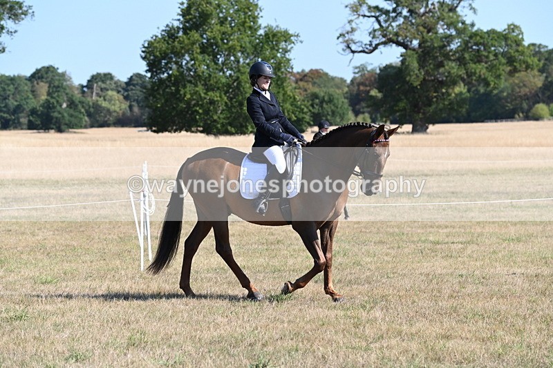 WJ6_7196 - Class 33 Rescue Pony