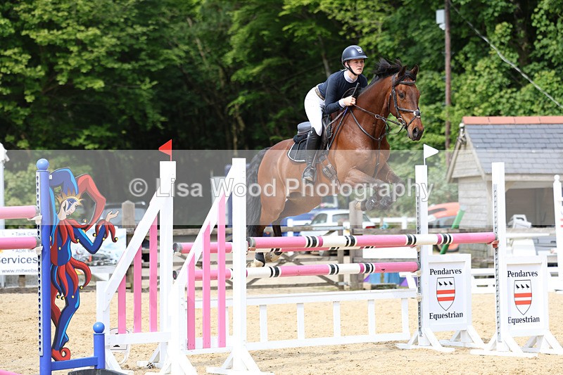 3E7A7675 - Class 8: Senior Foxhunter/1.20 open