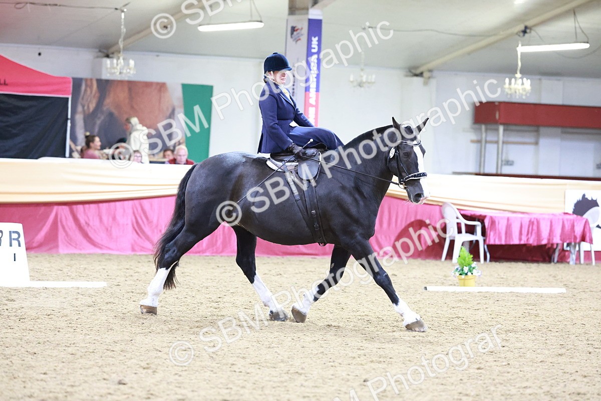 SBM_09923 - Class 61 - Dressage to Music