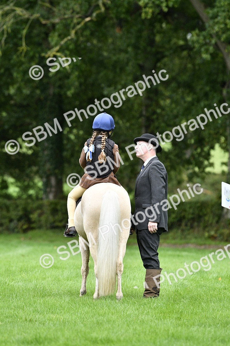 SBM_35468 - S30 - Nursery Stakes Working Hunter Pony