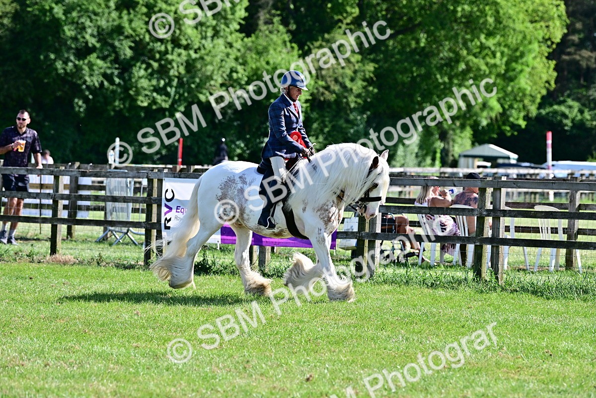 SBM_09450 - Class 63-65 - Traditional Gypsy Cobs In Hand & Ridden