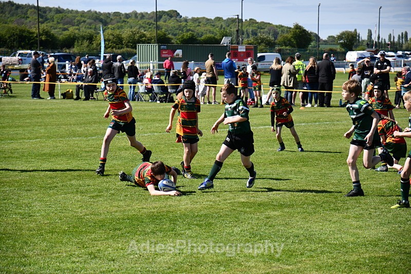  - Selby Rugby Festival 2025