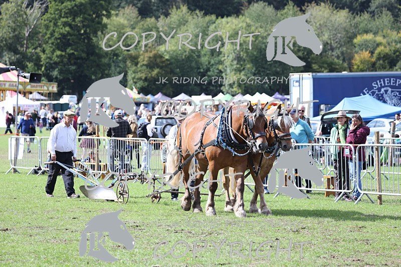 APP_3596 - Class 7 Turnout for a single or pair