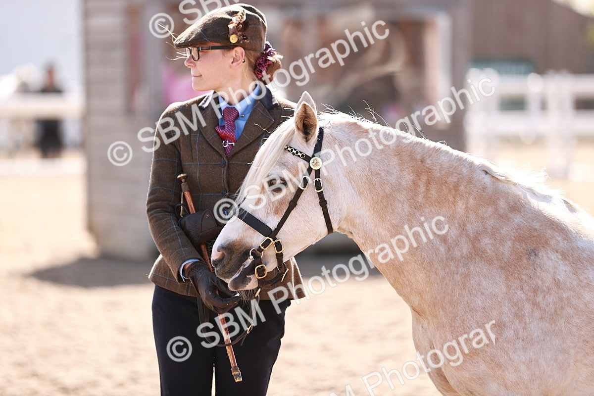 SBM_22907 - Class 706 - IH Veteran