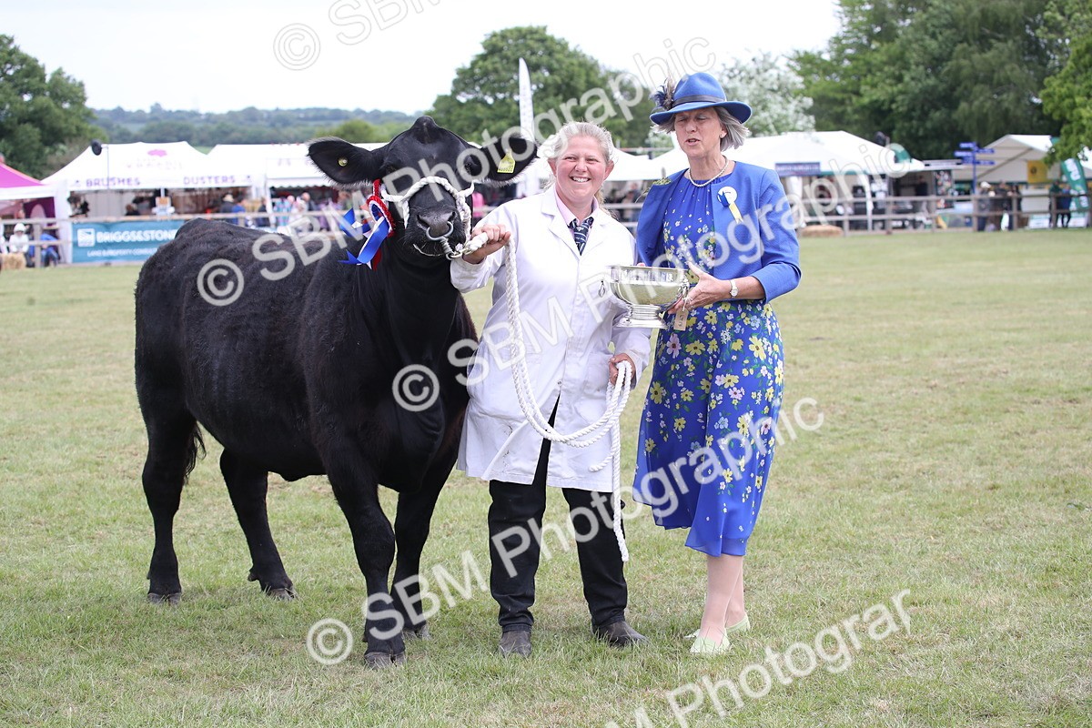 SBM_07946 - Grand Parade