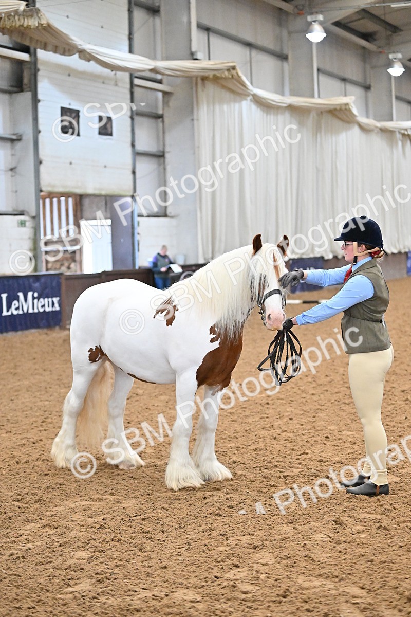 SBM_000029 - Class 1 - In Hand Cob