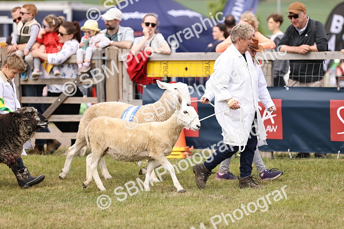 SBM_16859 - Grand Parade