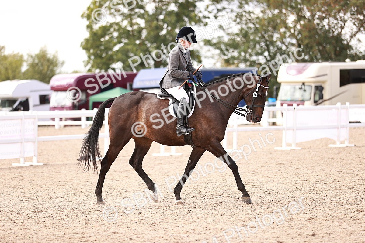 SBM_14499 - Class 410 - Grassroots Ridden - Horse