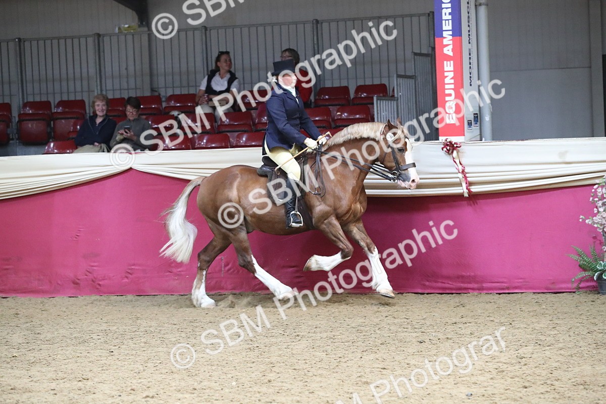 SBM_16351 - Class 502 M&M Ridden Supreme Final