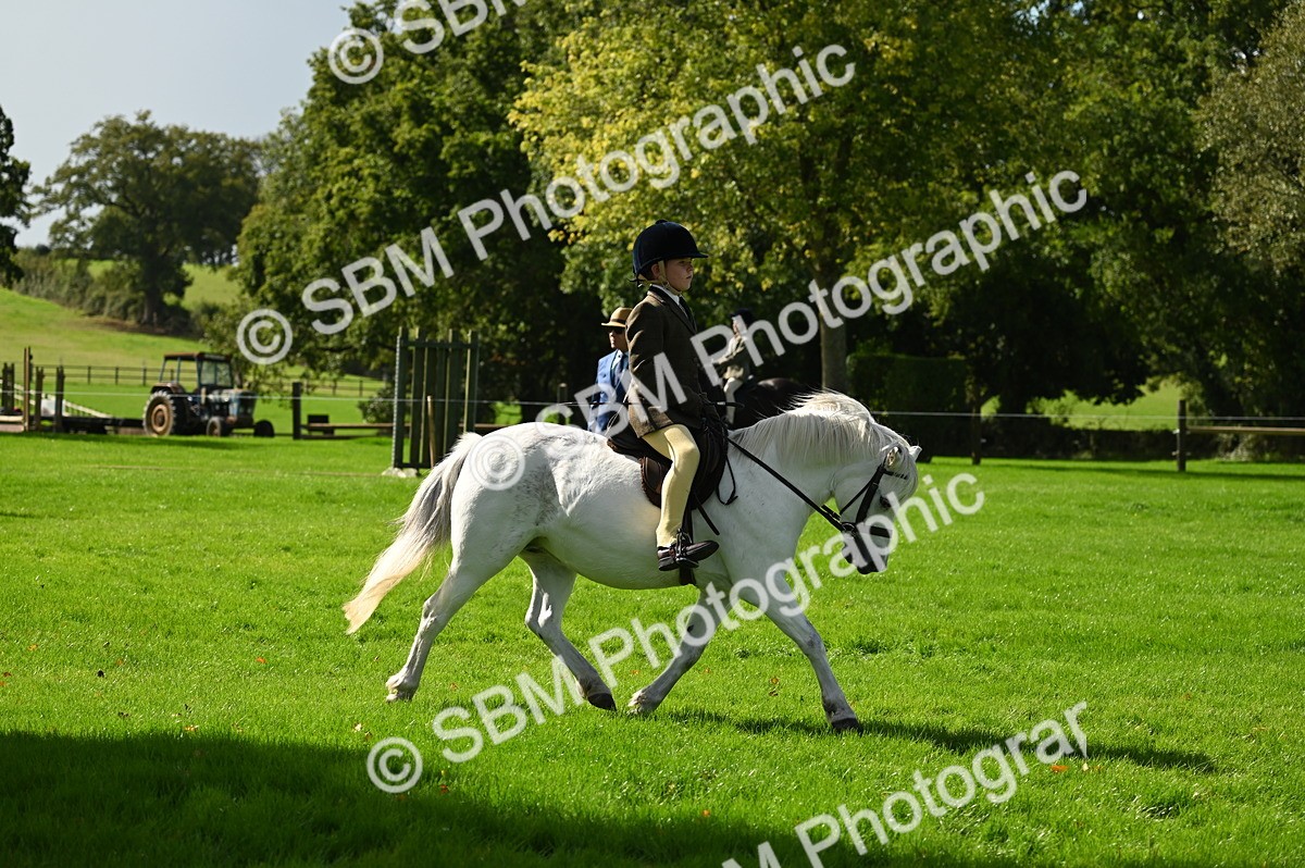 SBM_02756 - S3 - TSR Ridden Pony Showing