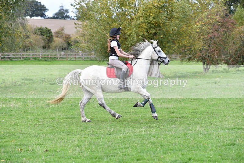 WJ5_1031 - Time 14:29 to 15:31