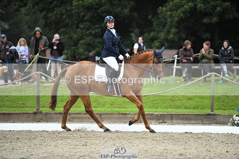 230812-122919-04128 - Cls 6 Novice Silver 12.10 to End