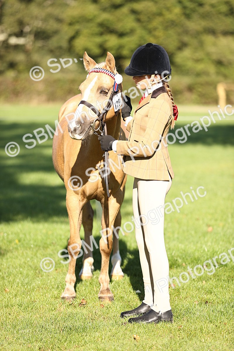SBM_15814 - S1 - TSR in Hand Horse & Pony Showing