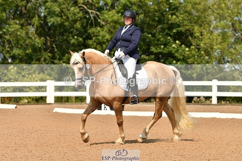 250817-112619-08580 - 216-Chloe.WaltonHaytors.Lord.of.the.Dance