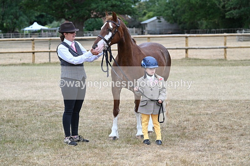 WJ7_9346 - Prettiest Mare Champs
