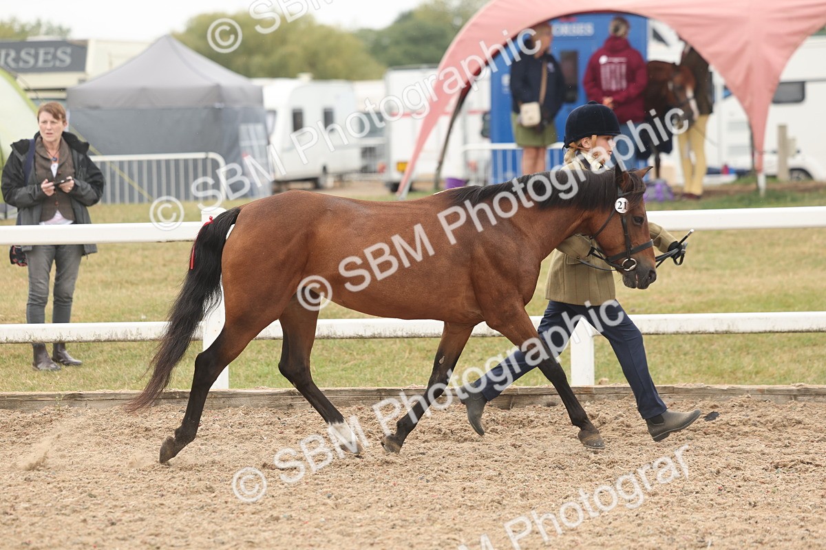 SBM_00506 - Class 13 Young Handler