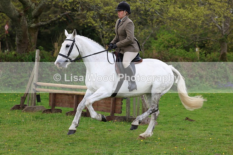 3E7A2591 - Classes 30 and 31: 80cm Working Hunter