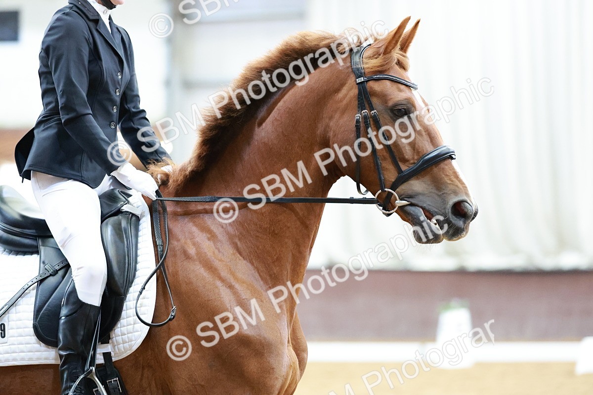 SBM_003953 - Class 11-8 - PYO- Novice 4