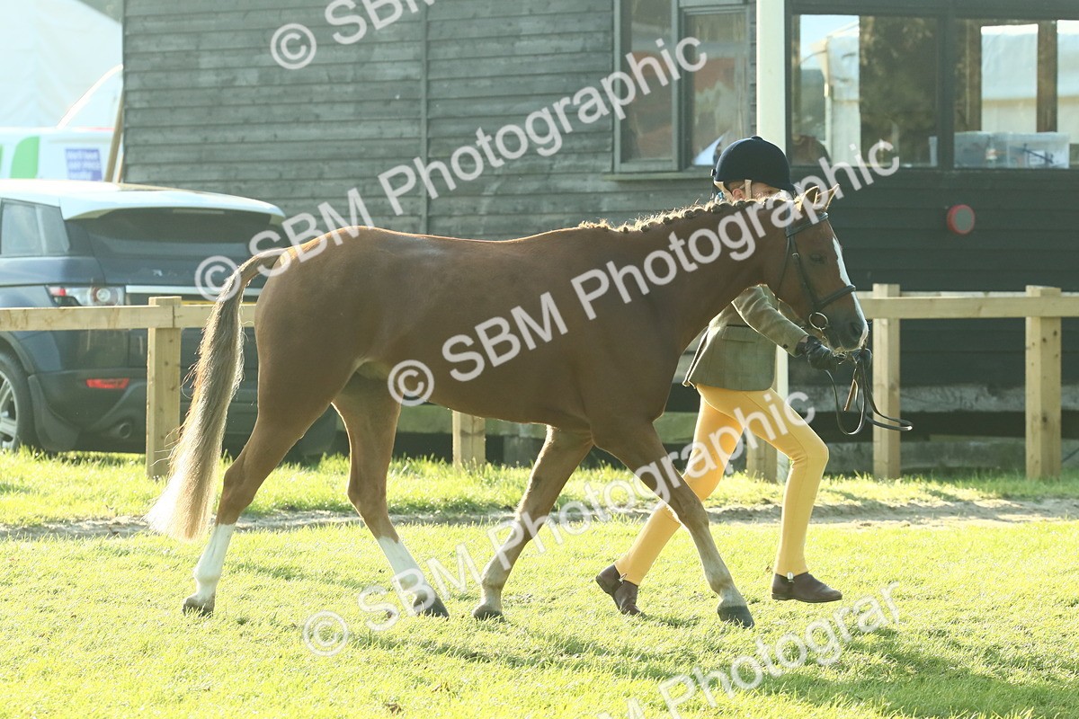 SBM_57409 - S37 - Starters In Hand Showing