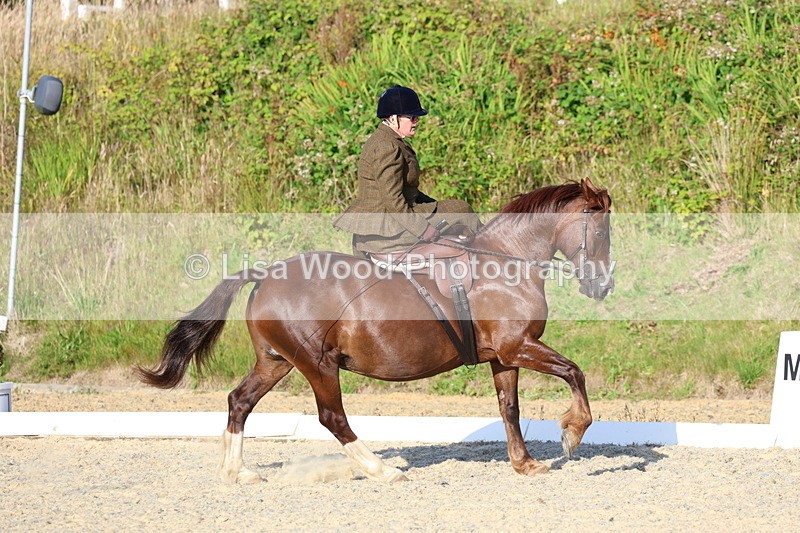 3E7A3850 - Class 3: Prelim 1 2024 Section A