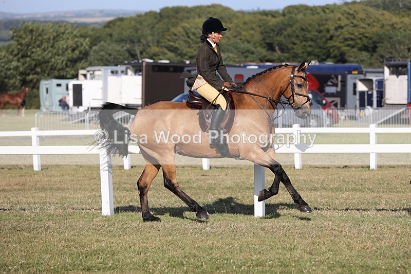 JPP_3296 - Class 21: Working Hunter 80cm