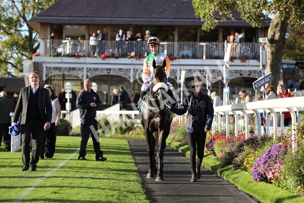 yr08102022r7-47 - Race 7 5.00pm The Coral Gets You Closer To The Action Stakes