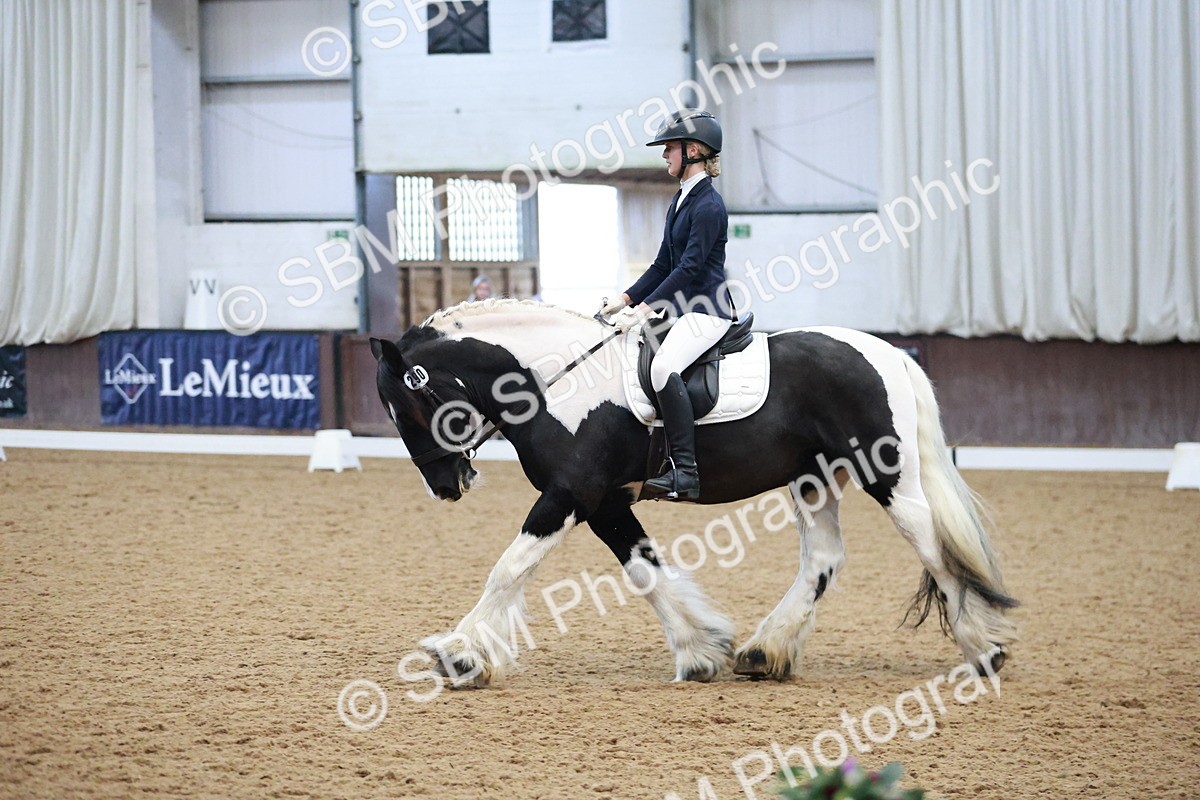 SBM_004572 - Ring 3 - International -  Working Hunter Classes 23-2-25