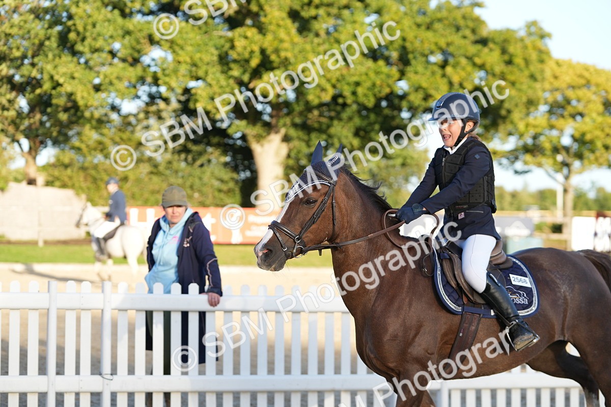 SBM_54131 - Supreme Championship 60cm 65cm