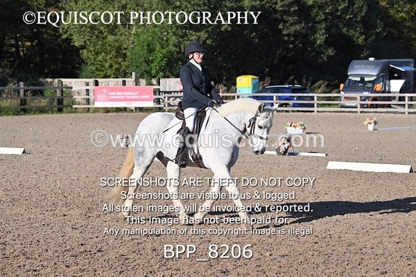 BPP_8206 - LONG ARENA
