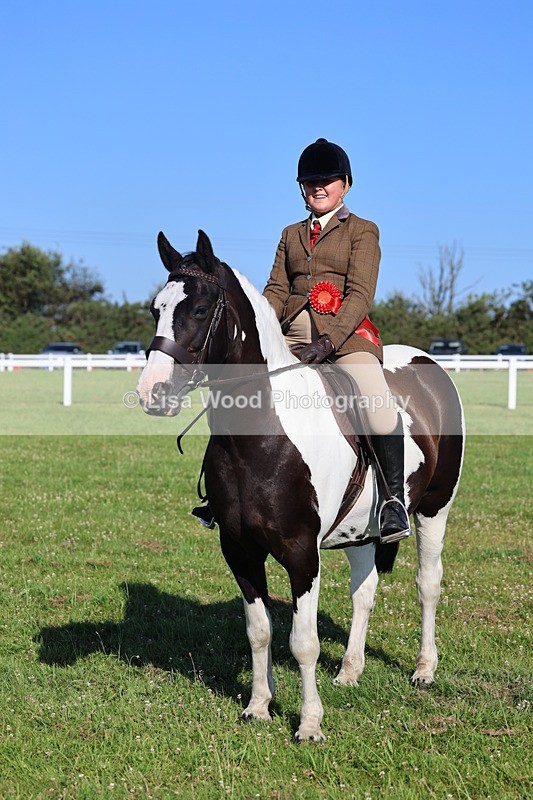 IMG_1409 - Class 28: Ridden Plaited Coloured Pony
