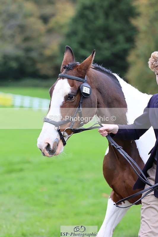 251026A-110958-25269 - F-408-Charlie.Wilson