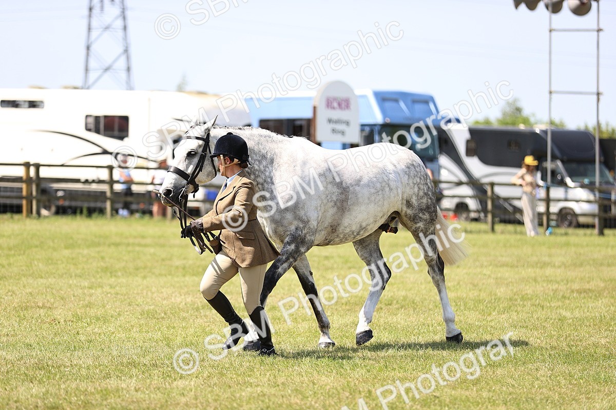SBM_15205 - Class 79-80 - LIHS BSHA Rising Star Ridden Hunter