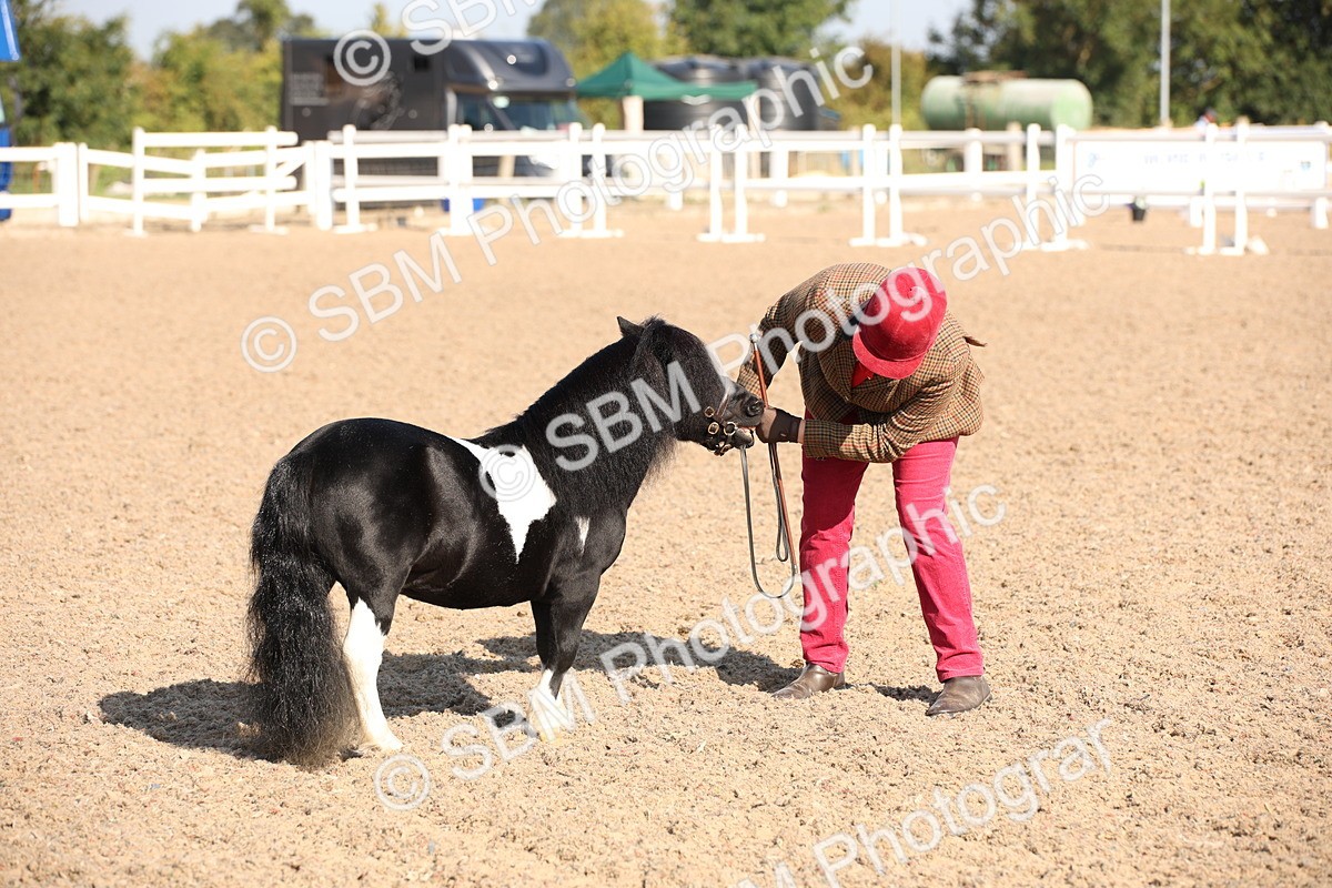 SBM_01475 - Class 15 IH Coloured