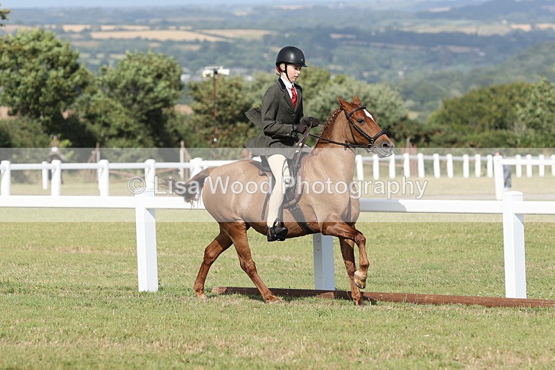 JPP_2916 - Class 20: Working Hunter 70cm