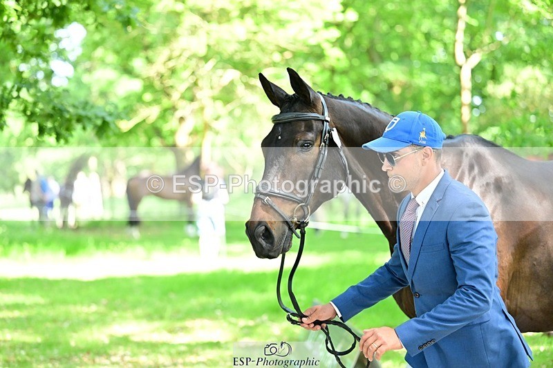 260527A-152549-01159 - C-364-Matteo.Gallucci