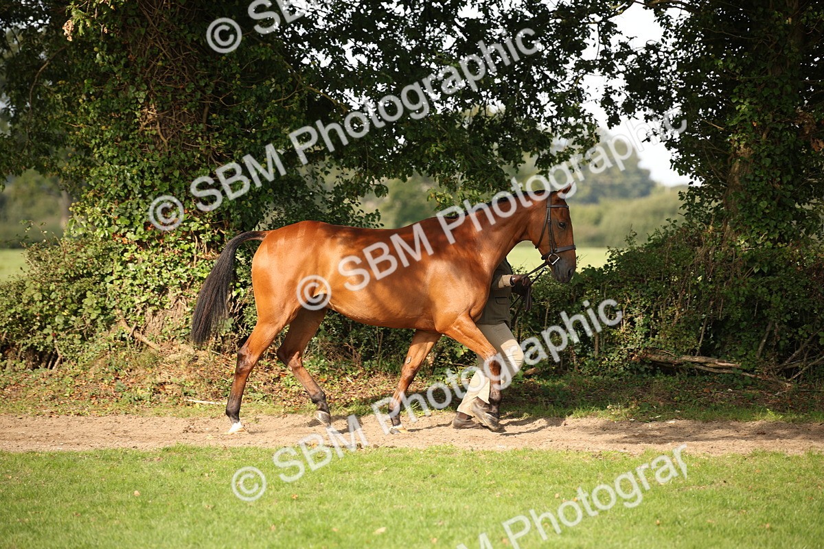 SBM_60075 - S53 - Hunter In Hand