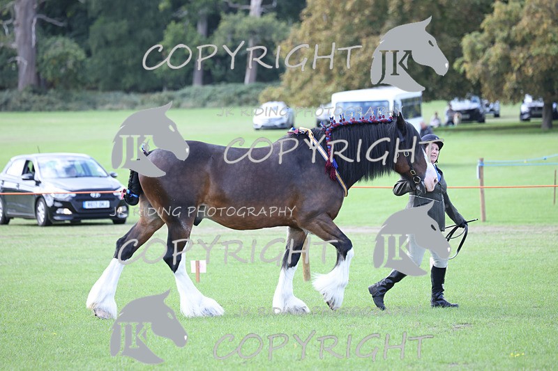 APP_3322 - Class 4 Veterans