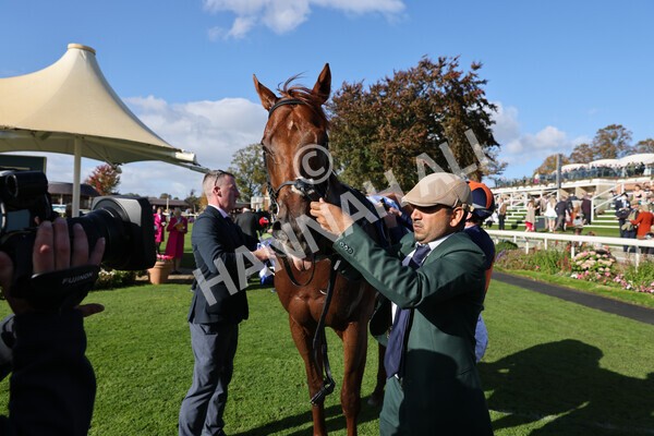 yr08102022r3-57 - Race 3 2.40pm The Coral 'Beaten-by-a-Length' Free Bet Handicap