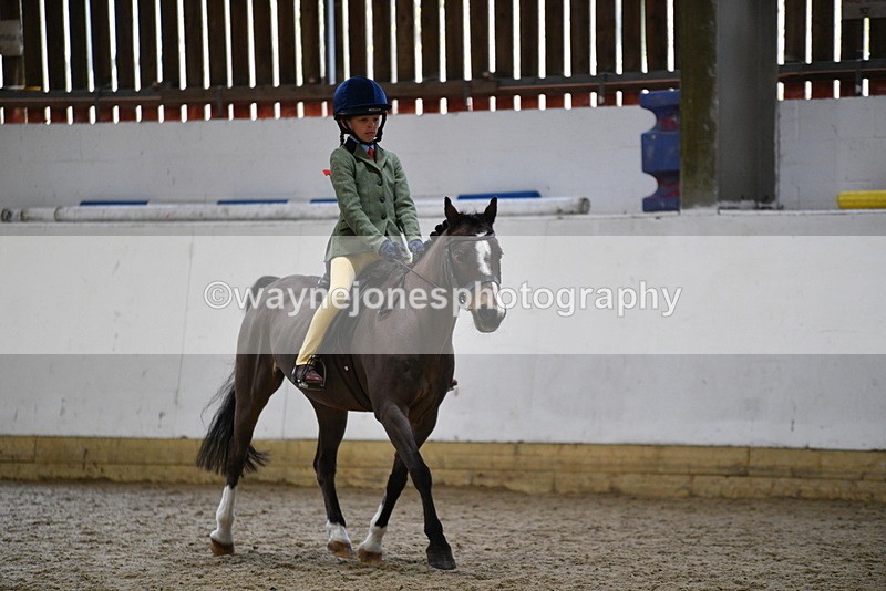 WJ5_6839 - Class 10 Childs Pony