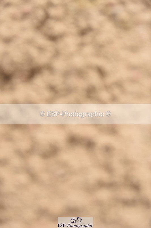 230813A-110636-11910 - Cls 48 Area Trial