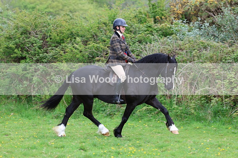 3E7A2465 - Ridden Championship