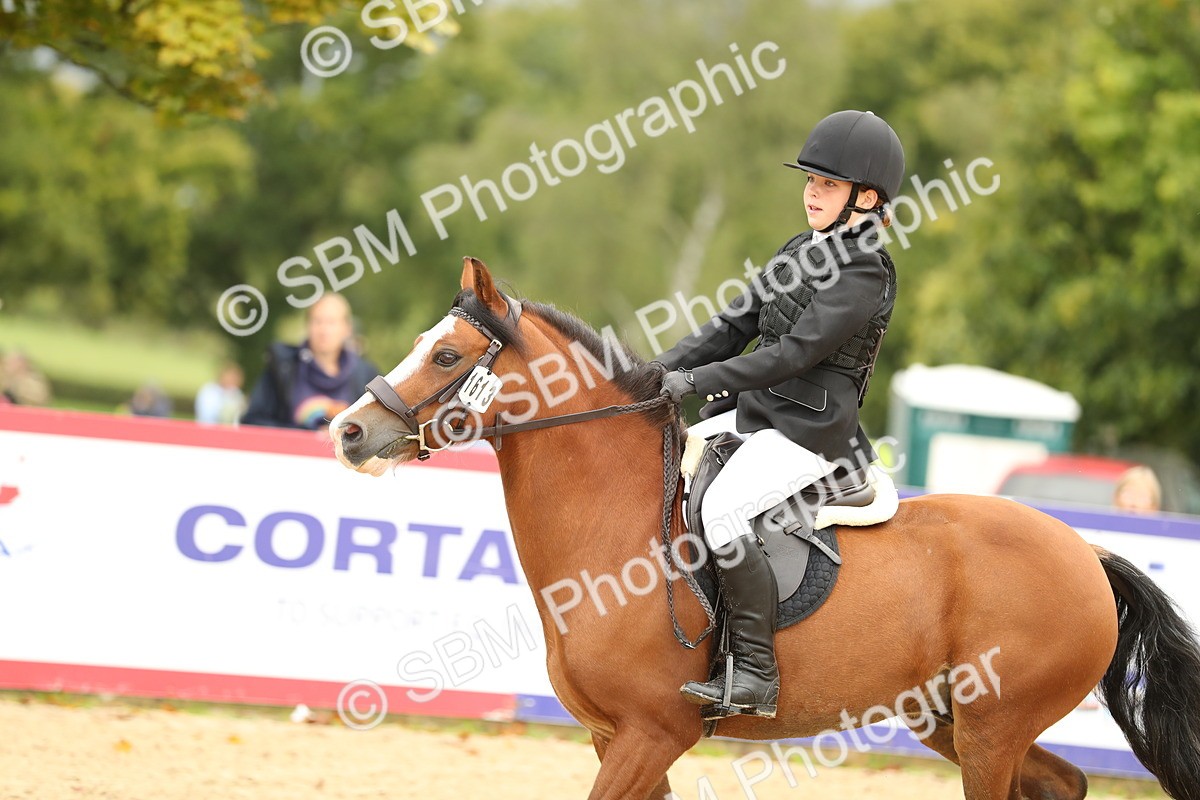 SBM_34249 - J60 Clear Round 50cm