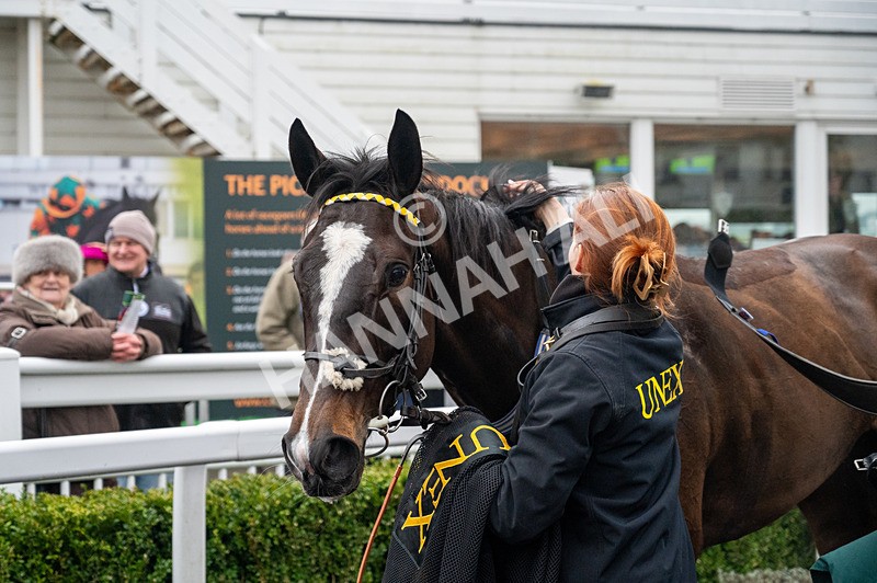 060324-Race 3-Sweet Fantasy-8103 - Race 3