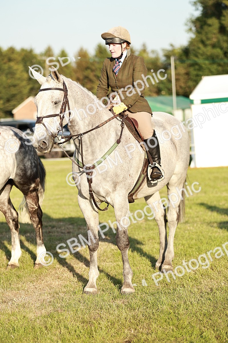 SBM_20564 - Class 117-119 - Sport Horse Working Hunter