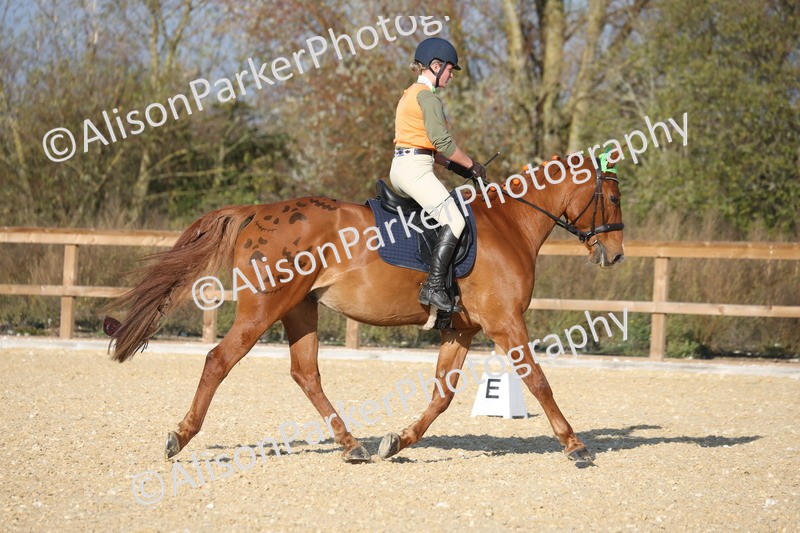 L20261031-0055 - Class 5 - Novice 2
