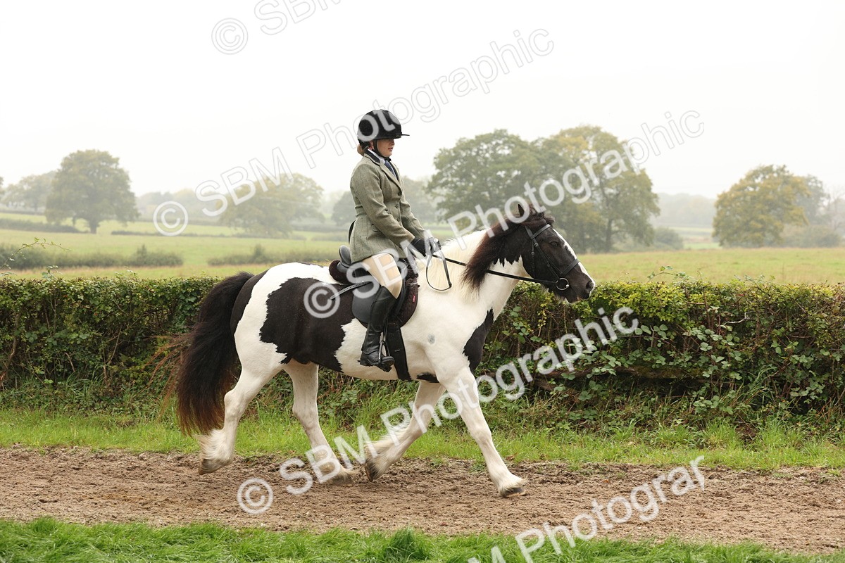 SBM_72696 - S70 - Traditional Cob Ridden
