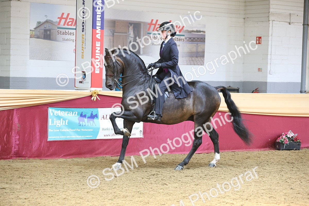SBM_23772 - class 906 - Supreme Final - Ridden Pre Vet
