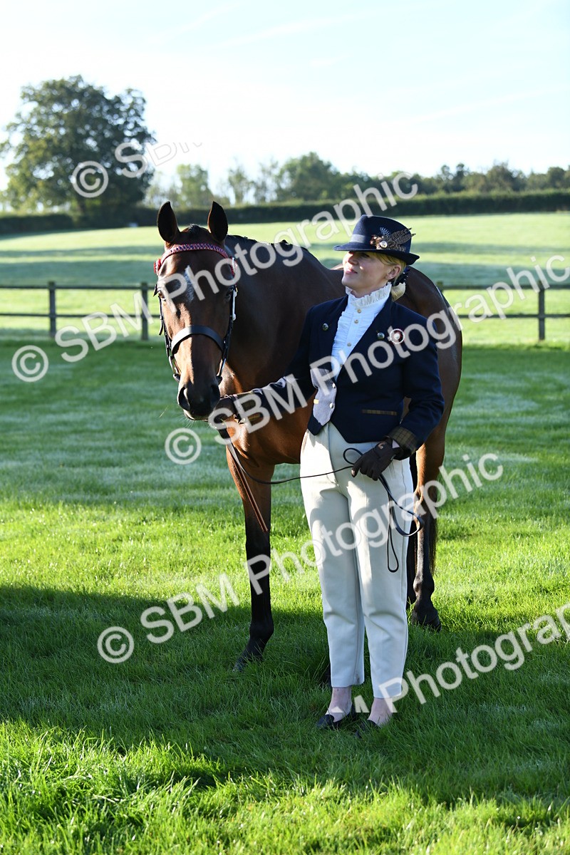 SBM_32804 - S15 - Condition & Turnout In Hand